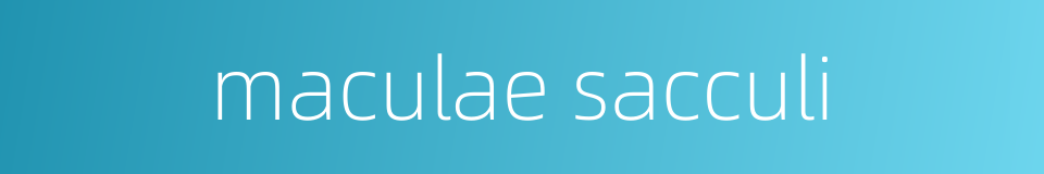 maculae sacculi的同义词