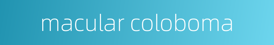 macular coloboma的同义词