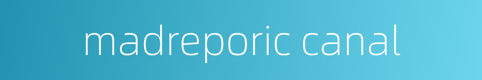 madreporic canal的同义词