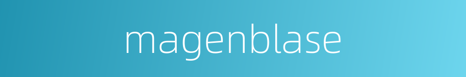 magenblase的同义词