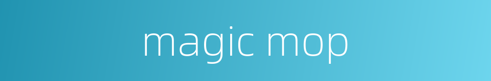magic mop的同义词