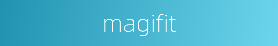 magifit的同义词