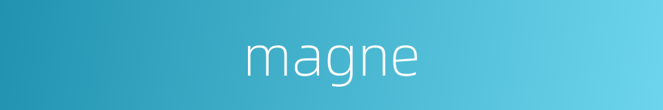 magne的同义词