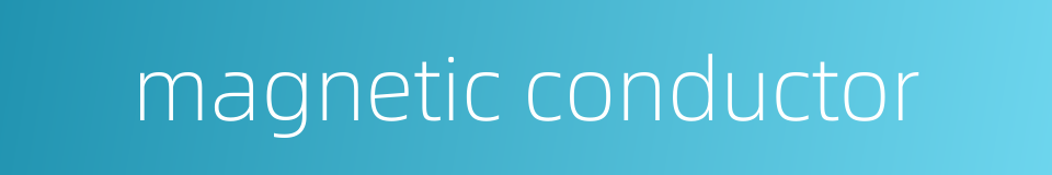 magnetic conductor的同义词