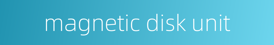 magnetic disk unit的同义词