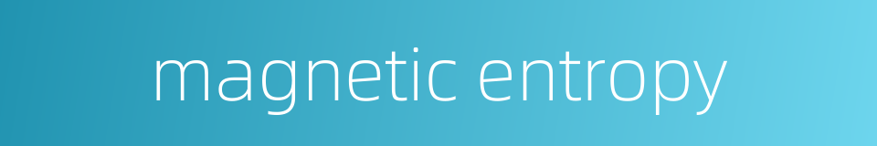 magnetic entropy的同义词