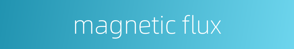 magnetic flux的同义词