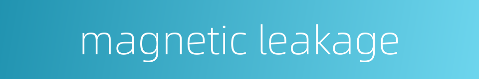 magnetic leakage的同义词