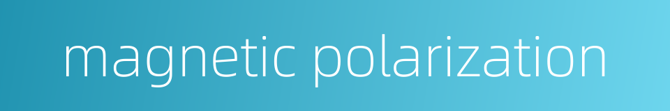 magnetic polarization的同义词
