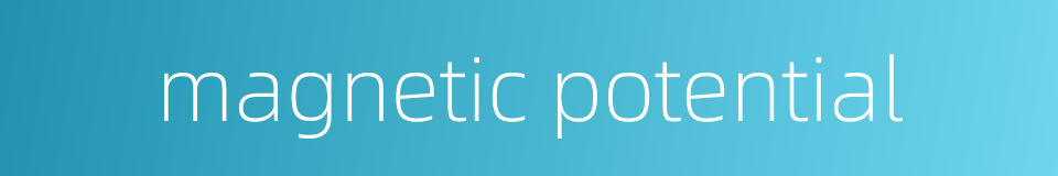 magnetic potential的同义词