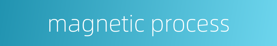 magnetic process的同义词