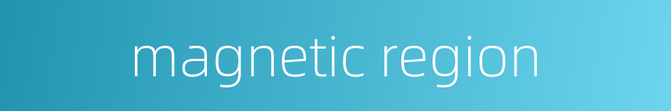 magnetic region的同义词