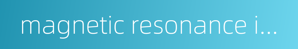 magnetic resonance imaging system的同义词