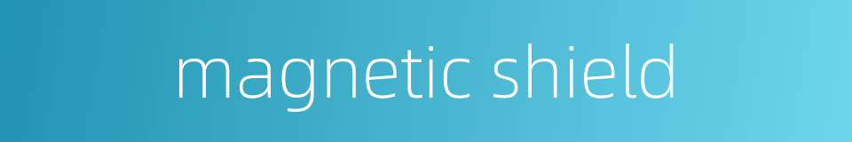 magnetic shield的同义词