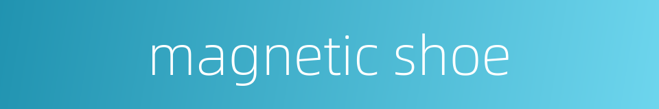 magnetic shoe的同义词