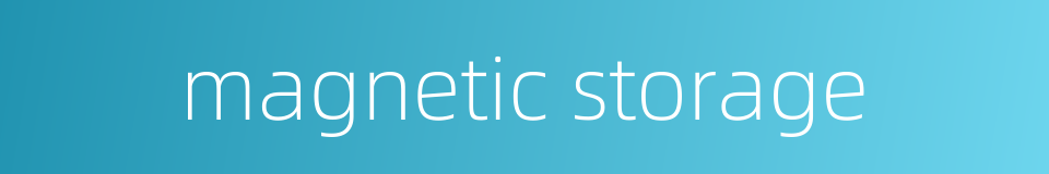 magnetic storage的同义词
