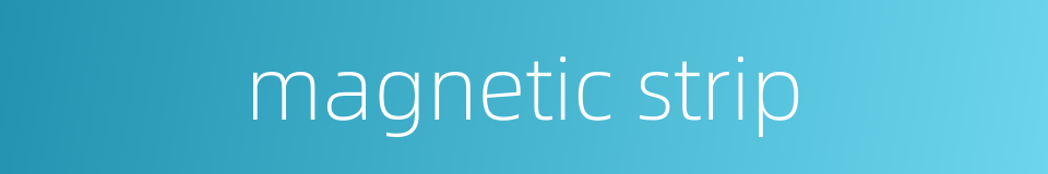 magnetic strip的同义词