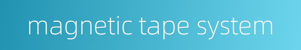 magnetic tape system的同义词