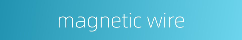 magnetic wire的同义词
