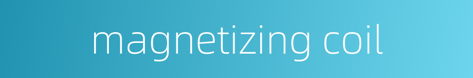 magnetizing coil的同义词
