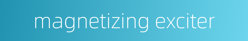 magnetizing exciter的同义词
