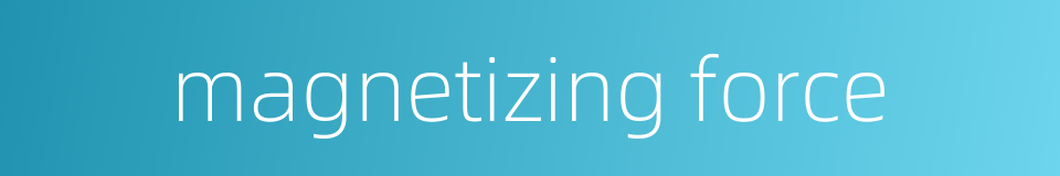 magnetizing force的同义词