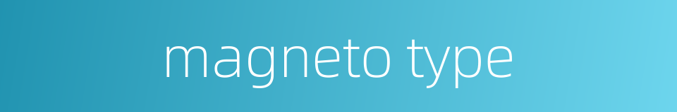 magneto type的同义词