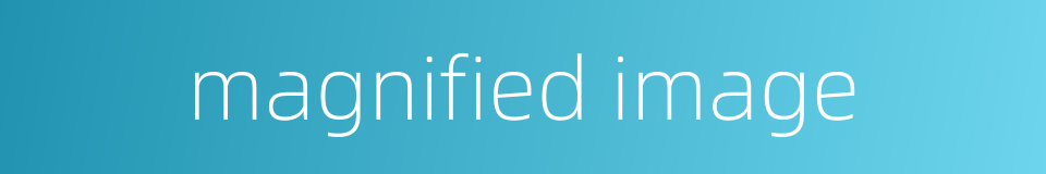 magnified image的同义词