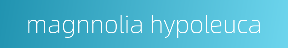 magnnolia hypoleuca的同义词