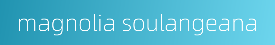 magnolia soulangeana的同义词