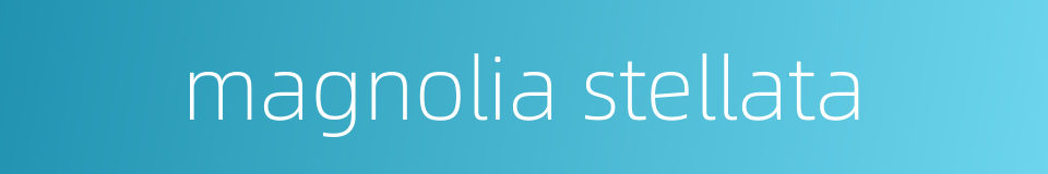 magnolia stellata的同义词
