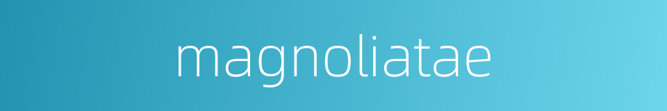 magnoliatae的同义词