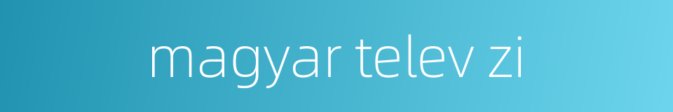 magyar telev zi的同义词