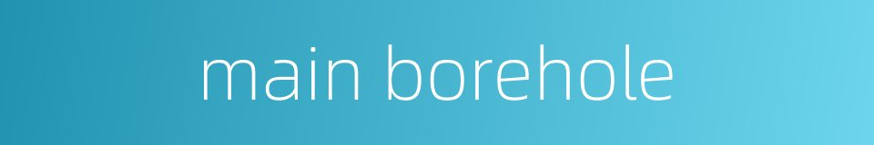 main borehole的同义词