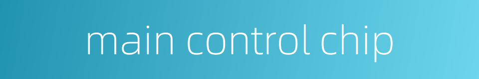 main control chip的同义词