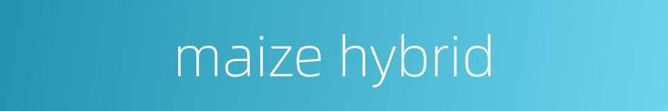 maize hybrid的同义词