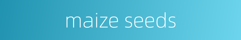 maize seeds的同义词