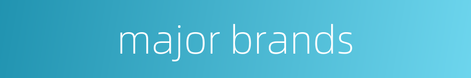 major brands的同义词