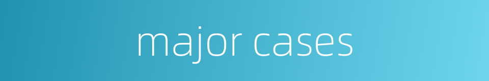 major cases的同义词