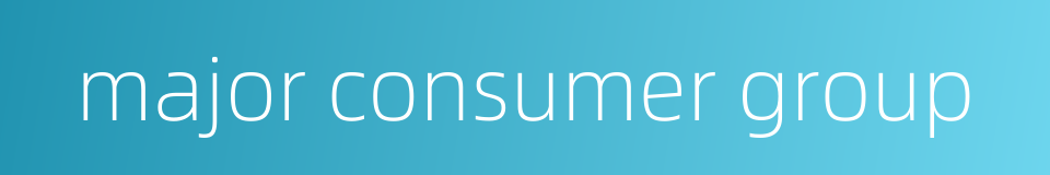 major consumer group的同义词