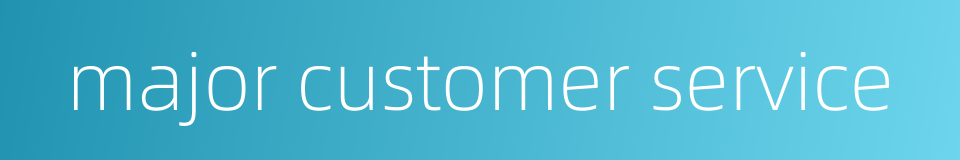 major customer service的同义词