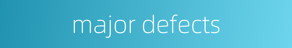 major defects的同义词