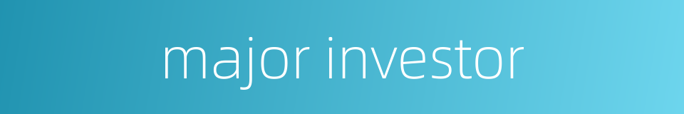 major investor的同义词