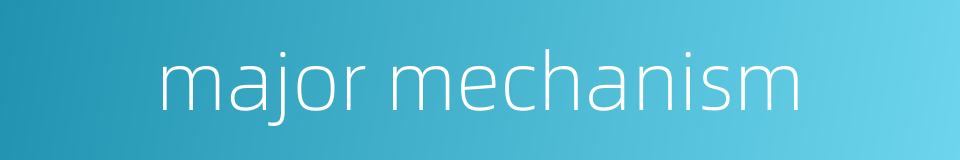 major mechanism的同义词