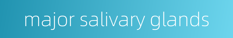 major salivary glands的同义词