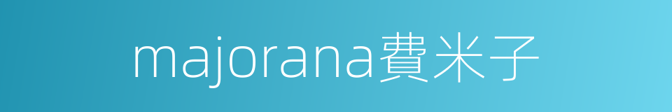 majorana費米子的同義詞