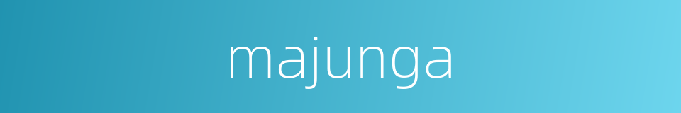 majunga的同义词