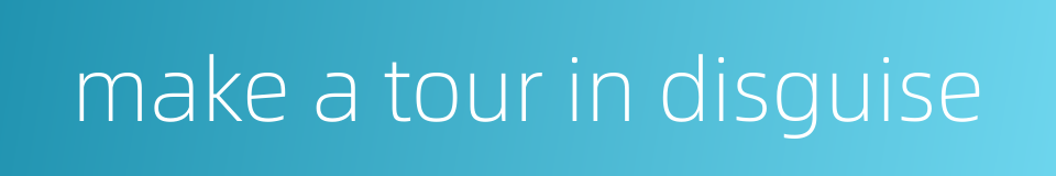 make a tour in disguise的同义词