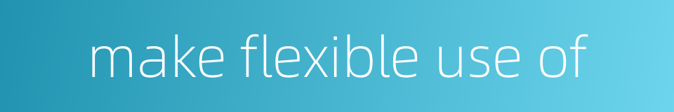 make flexible use of的同义词
