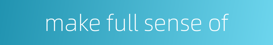 make full sense of的同义词
